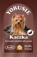 kaczka