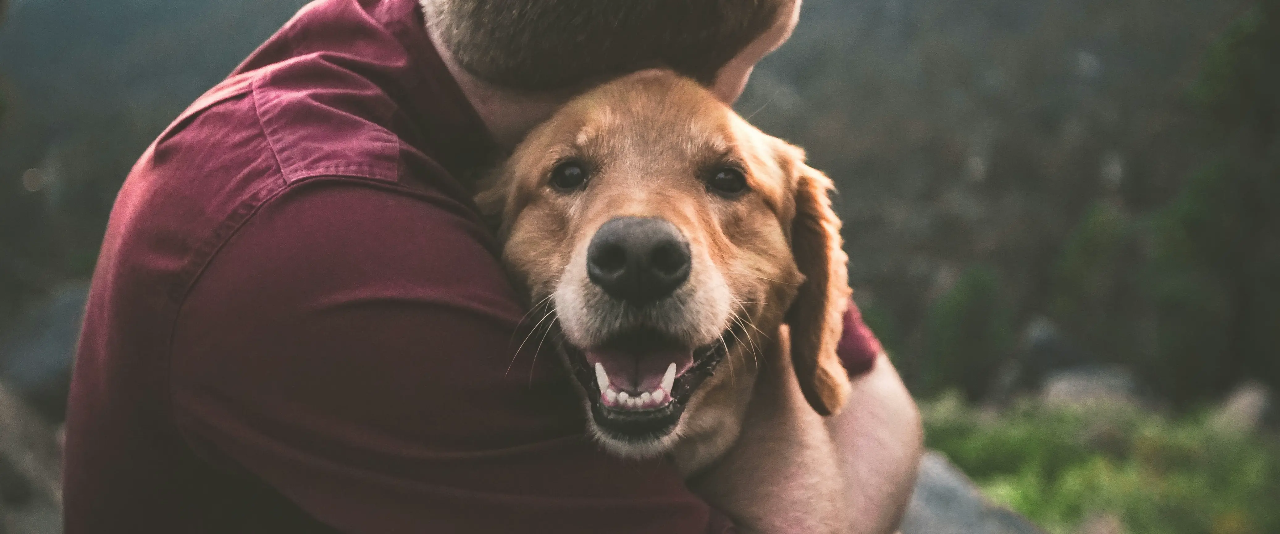 Obecność psa w dogoterapii wpływa pozytywnie na samopoczucie 