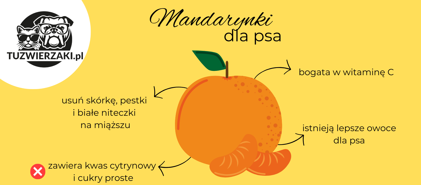 Właściwości mandarynek dla psa