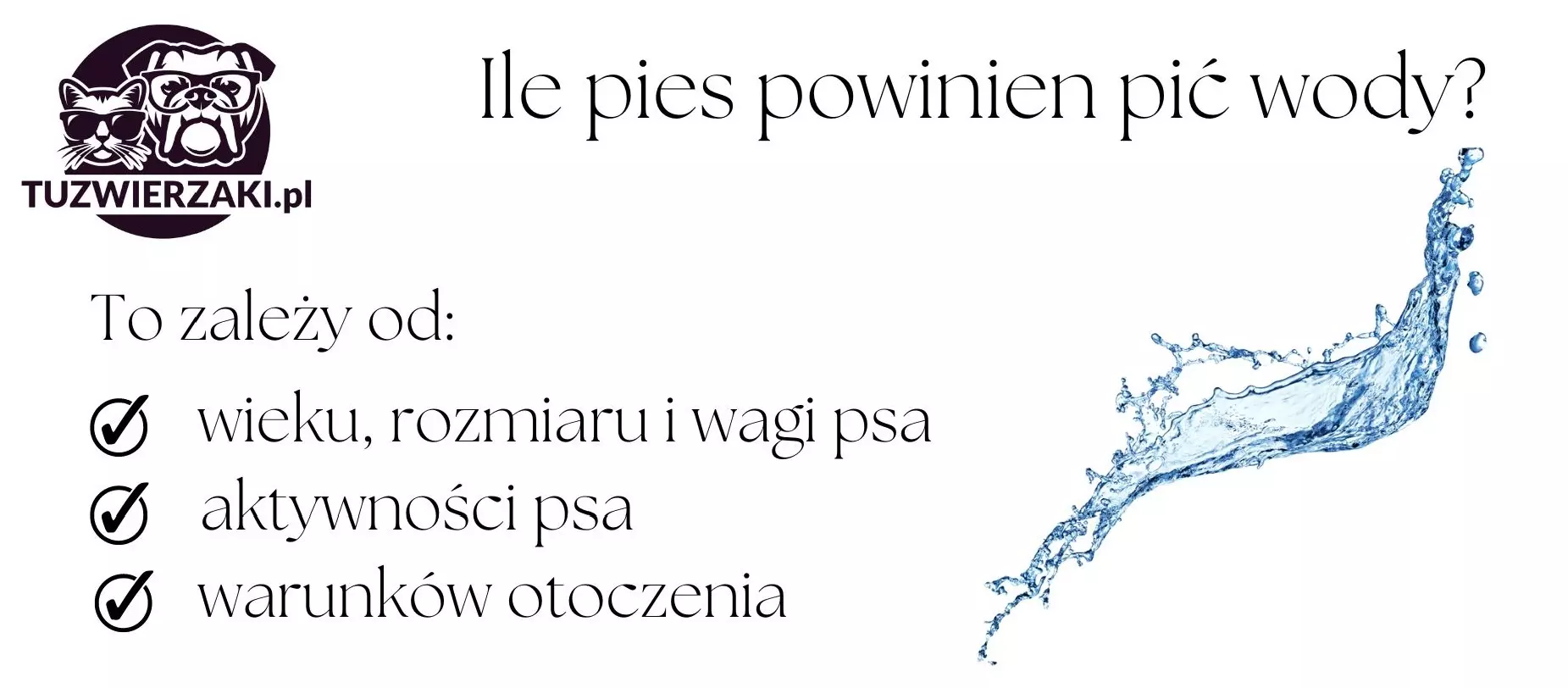 ile pies powinien pić wody i od czego to zależy?