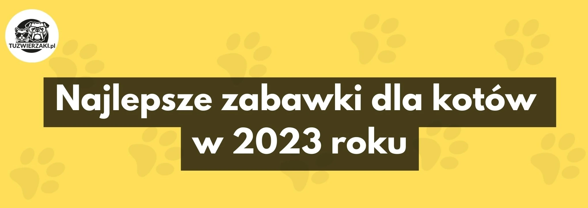 top zabawek dla kota 2023