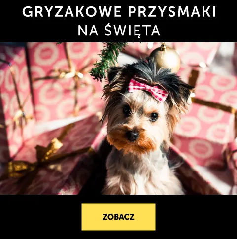 Gryzakowe przysmaki na święta