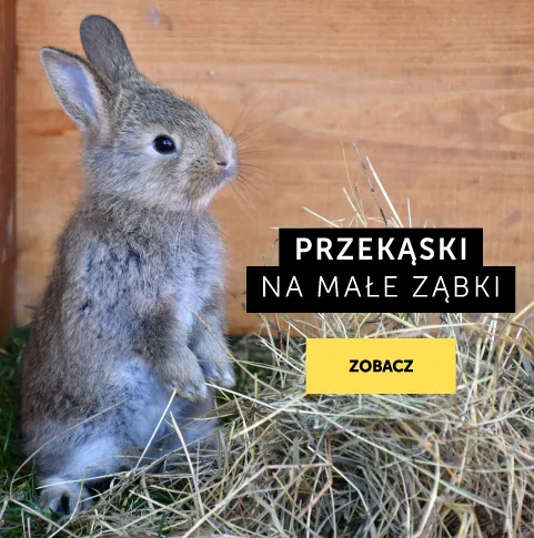 Przekąski na małe ząbki