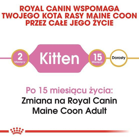 Royal Canin Karma Sucha Dla Kociąt Rasy Maine Coon 2kg