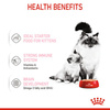 Royal Canin Mother Babycat Mousse Mus dla Kociąt Kotek Karmiących 195g