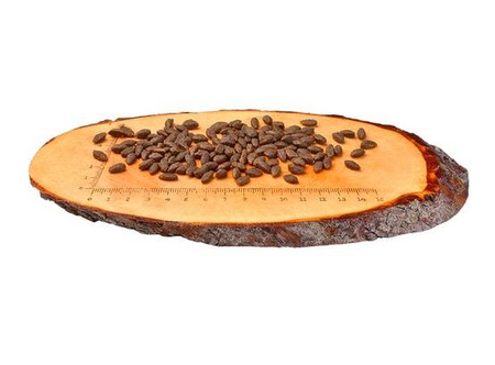 Carnilove Karma Dla Kota Łosoś Sensitive Long Hair 2kg