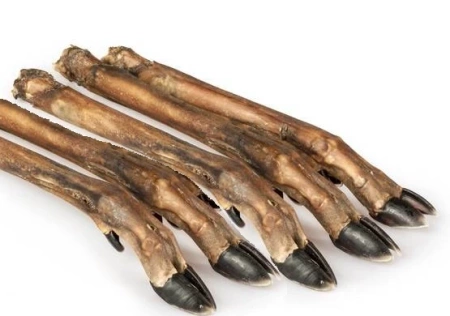 Balto Przysmak Dla Psa Racica Sarny 5szt