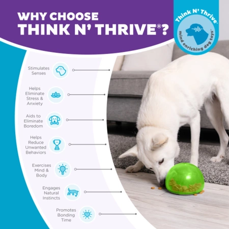 Outward Hound Orbee-Tuff Zabawka Dla Psa Zielona