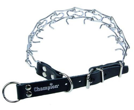 Champion Kolczatka dla Psa 2 Rym 61cm/3mm