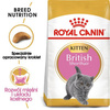 Royal Canin Karma Dla Kociąt Rasy Brytyjski Krótkowłosy 400g