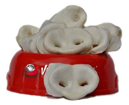 Vector-Food Przysmak Dla Psa Noski Wieprzowe Białe Duże 40szt