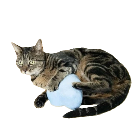 Coockoo Poduszka Zabawka Dla Kota Z Kocimiętką Chmurka