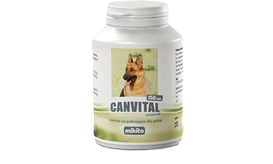 Mikita Canvital Plus Czosnek 150 szt