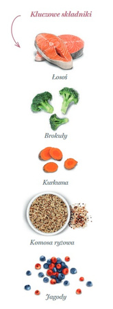 Amanova Sterilised Sucha Karma dla Kota Łosoś 6kg