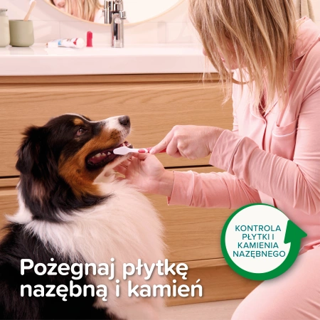 Beaphar Pasta Do Zębów Dla Psa Kota Mięta Pietruszka 100g