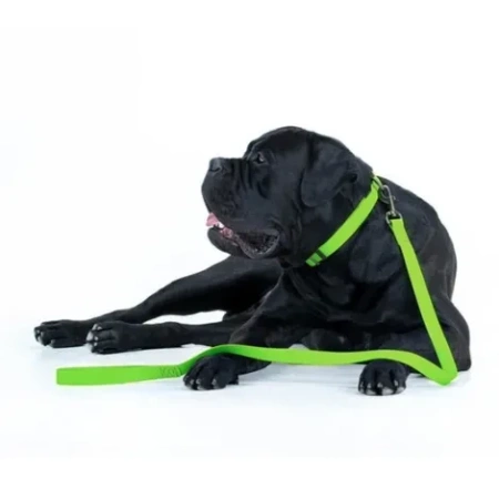 WAUDOG Wodoodporna Smycz dla Psa 25mm/183cm Zielona