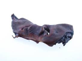 Artex Nos Wołowy Ciemny 100g