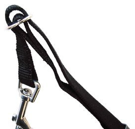 Trixie Szelki samochodowe dla psa S [1290]