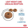Royal Canin Light Weight Care Karma Sucha Dla Kota 400g