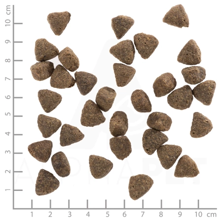 Wolfsblut Karma Dla Psa Wołowina Angus 2kg