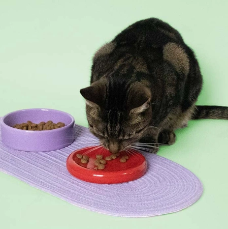 Coockoo Funky Miski dla Psa Kota 50/280ml Czerwony-Fiolet