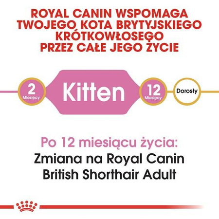 Royal Canin Karma Dla Kociąt Rasy Brytyjski Krótkowłosy 400g