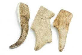 4Dogs Gryzak Poroże Daniela S (Hard)