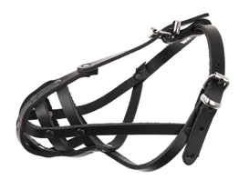 Dino Kaganiec Dla Psa Skórzany Nitowany 3 Ratlerek