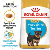 Royal Canin Sucha Karma Dla Szczeniąt Rasy York 1,5kg