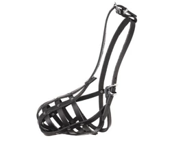 Dino Kaganiec Dla Psa Skórzany Nitowany 4 Pudel