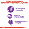 Royal Canin Sensible Karma Sucha Dla Kota 2kg
