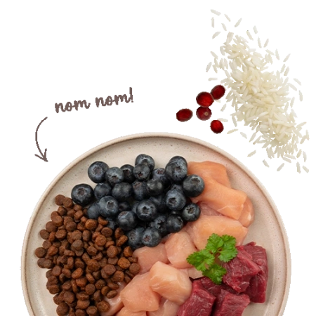 Sanabelle Adult Sensitive Karma dla Kota Jagnięcina 400g