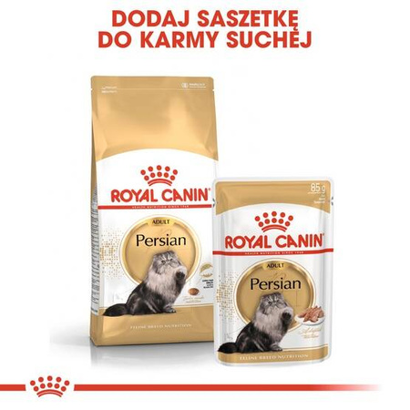 Royal Canin Karma Sucha Dla Kota Rasy Perskiej 400g