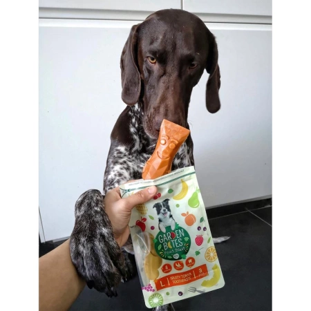 Garden Bites Fruity Tonya Toothpaste S 54szt 3x270g