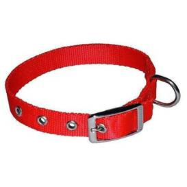 Chaba Taśmowa Obroża Dla Psa Taśma 25mm/70cm Czerwona