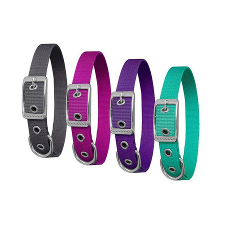 Chaba Obroża dla Psa Taśmowa Lux 1,6/46cm Fuksja