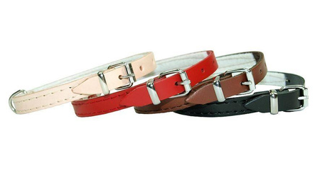 Dino Obroża Skórzana Dla Psa 18mm3cm Czarna