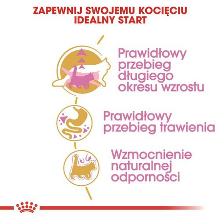 Royal Canin Karma Sucha dla Kociąt Rasy Maine Coon 400g