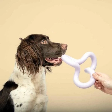 Coockoo Zabawka Dla Psa Gryzak TPR Funky Fiolet 18cm