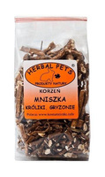 mniszek lekarski