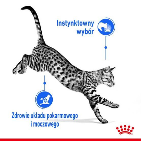 Royal Canin Indoor Sterilised Żel Karma Mokra Dla Kota 85g