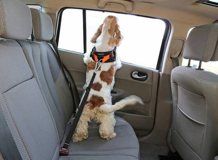 Kardiff Pas Dla Psa Bezpieczeństwa Do Samochodu S