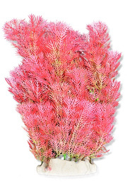 Happet Roślina do Akwarium Folia Różowa 20cm