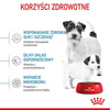 Royal Canin Mini Starter Mother Babydog Karma dla Szczeniąt 1kg
