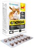 WitaVet Witaminy Dla Kota Energia Junior Adult 60tabl