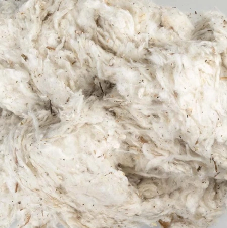 Duvo+ Cotton Dream Szarpanka Dla Gryzoni Ptaków 150g