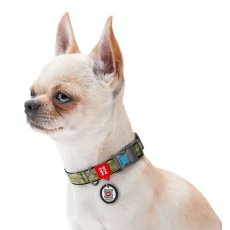 WAUDOG Obroża Dla Psa Moro Z Adresówką QR S