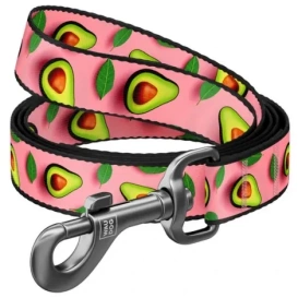 WAUDOG Nylonowa Smycz dla Psa 15mm/200cm Awokado Róż S