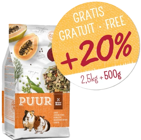 Witte Mollen Karma Dla Świnki Morskiej 2x3kg