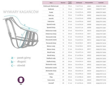 Dino Kaganiec Dla Psa Skórzany Nitowany 1 Pekińczyk